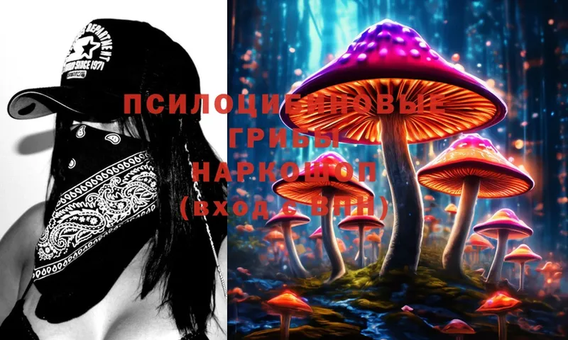 OMG рабочий сайт  Камышлов  маркетплейс клад  Псилоцибиновые грибы Psilocybine cubensis 